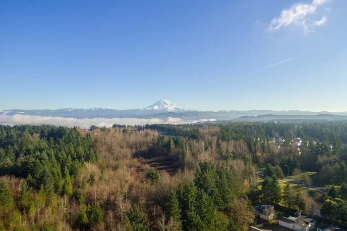 Viking Estates Picture 8