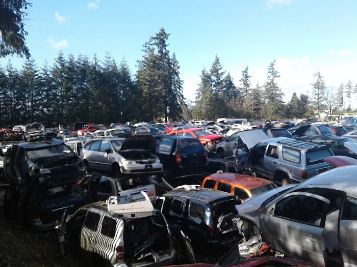 Enchanted Firs Mobile Home Picture 4