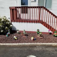 Enchanted Firs Mobile Home ico