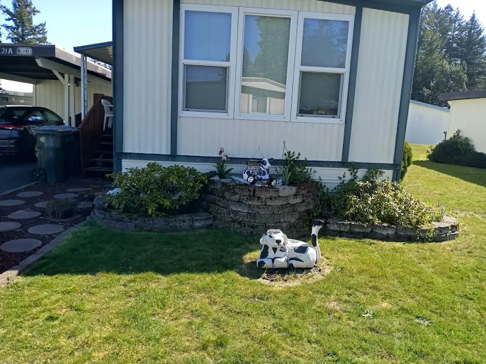 Enchanted Firs Mobile Home Picture 3