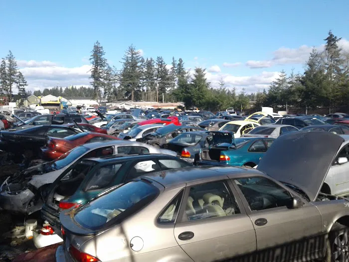 Enchanted Firs Mobile Home Picture 6