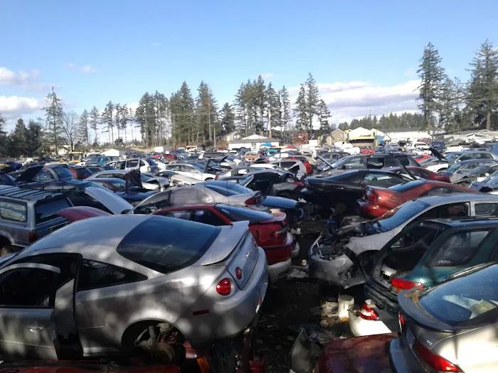 Enchanted Firs Mobile Home Picture 5