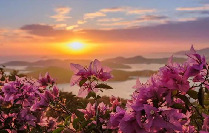 Mountain Valley Community Picture 1