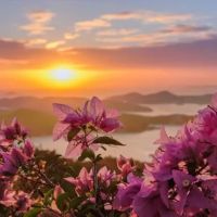 Mountain Valley Community ico