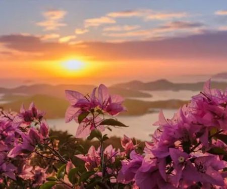 Mountain Valley Community