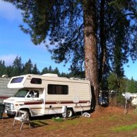 Rainier Villa Mobile Park ico