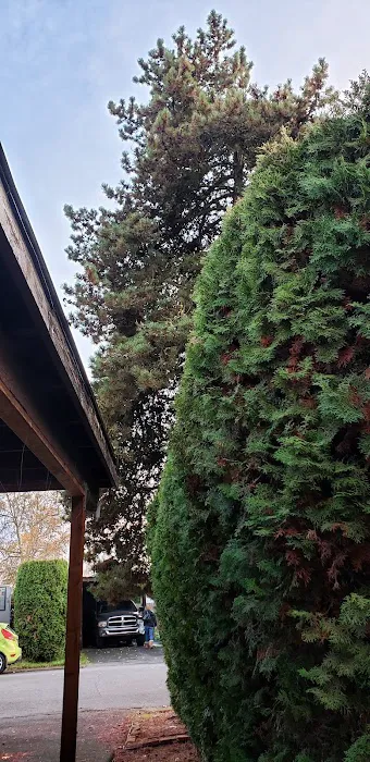 Ash Creek Mobile & RV Park Picture 4