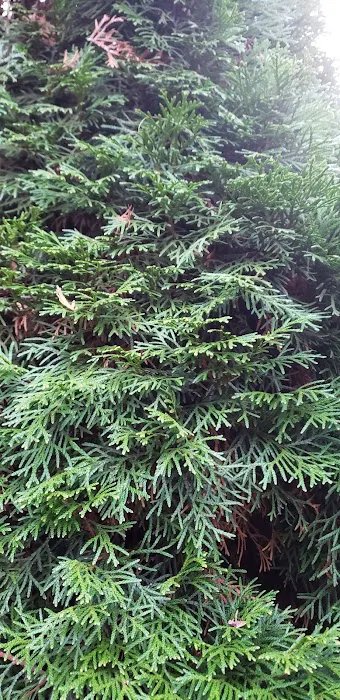 Ash Creek Mobile & RV Park Picture 6