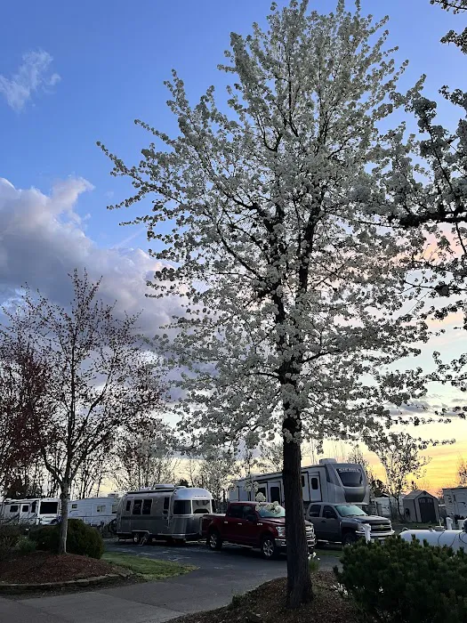 Knox Butte RV Park Picture 16