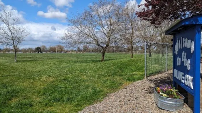 Blue Ox RV Park Picture 5