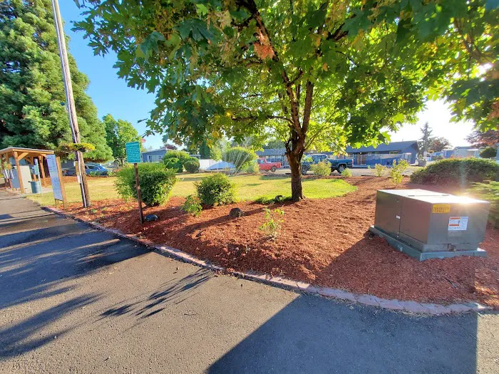 Sequoia Estates Mobile Home Park Picture 3