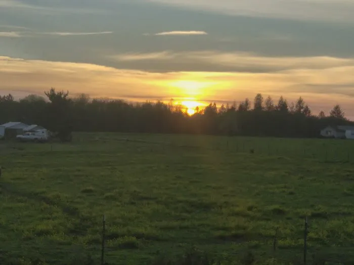 Scio Loop Country Community Llc Picture 3