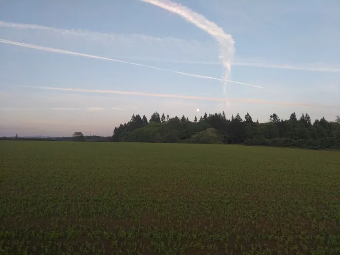 Scio Loop Country Community Llc Picture 6
