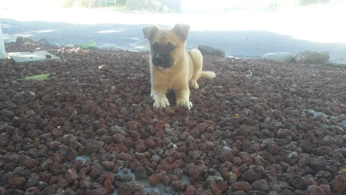 Periwinkle Mobile Park Picture 8