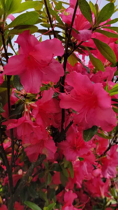 Periwinkle Mobile Park Picture 2