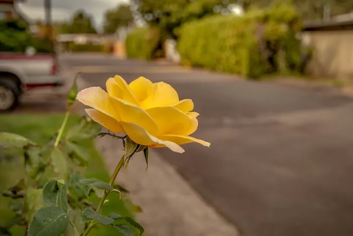 Monmouth Mobile Estates Picture 2