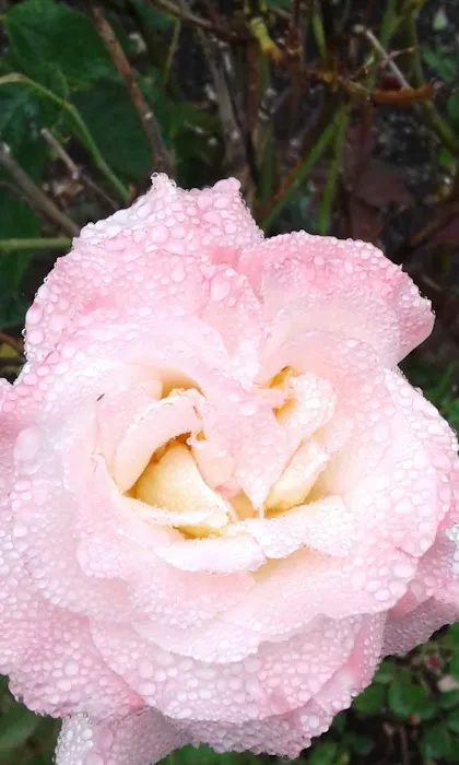 Greenway Manufactured Housing Community 55+ Picture 1