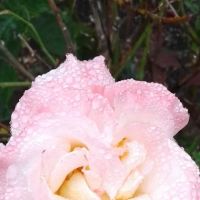 Greenway Manufactured Housing Community 55+ ico