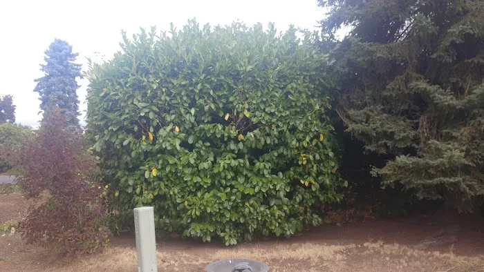 Greenway Manufactured Housing Community 55+ Picture 4