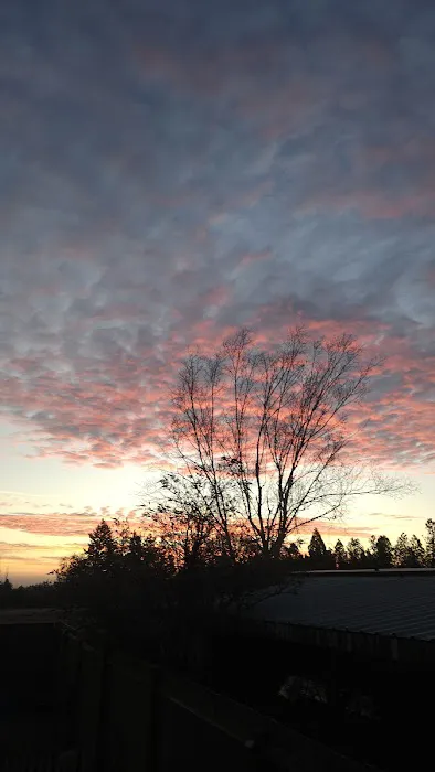 Hawthorne Acres Mobile Home Ct Picture 10