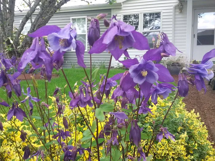 Meadow Creek Village Picture 7