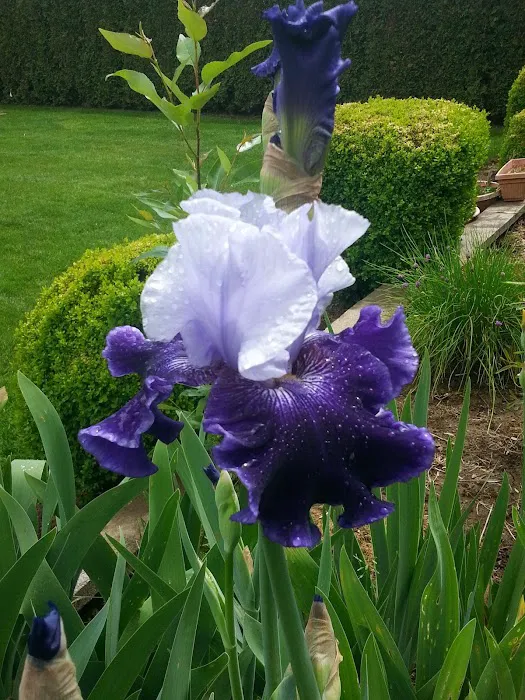 Meadow Creek Village Picture 9