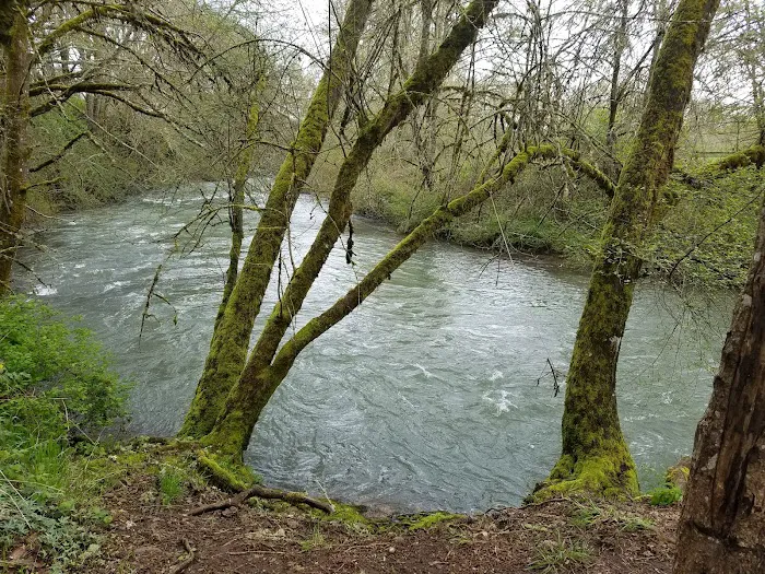 Meadow Creek Village Picture 1