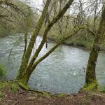 Meadow Creek Village