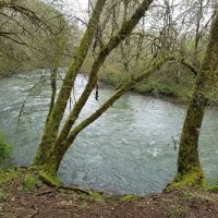 Meadow Creek Village ico