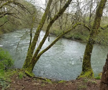 Meadow Creek Village