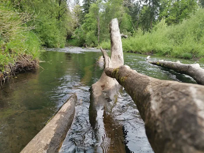 Meadow Creek Village Picture 6