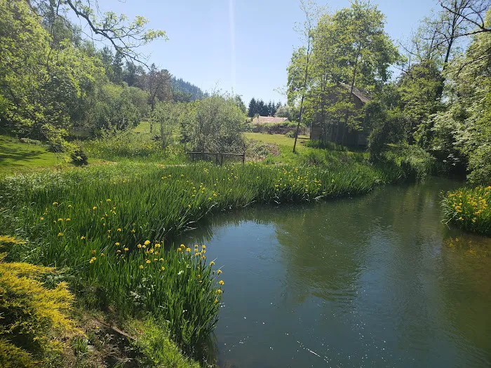 Woods Trailer-Rv Park Picture 8