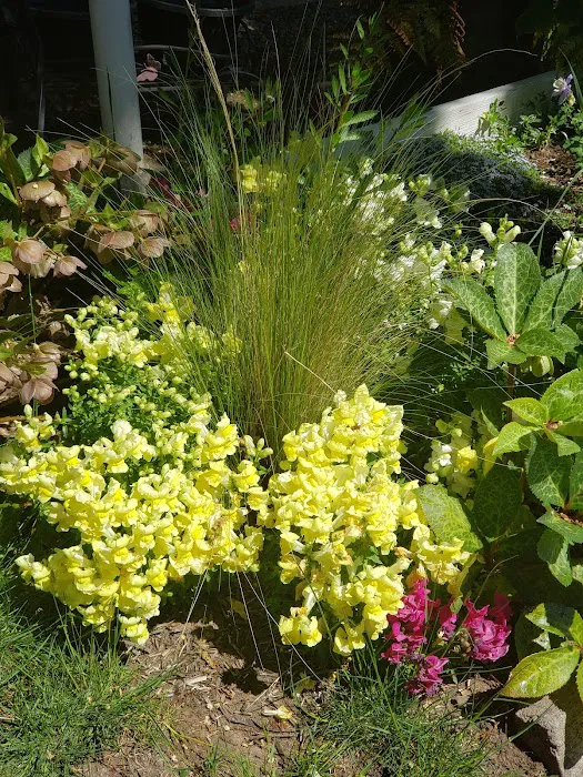 Woods Trailer-Rv Park Picture 7