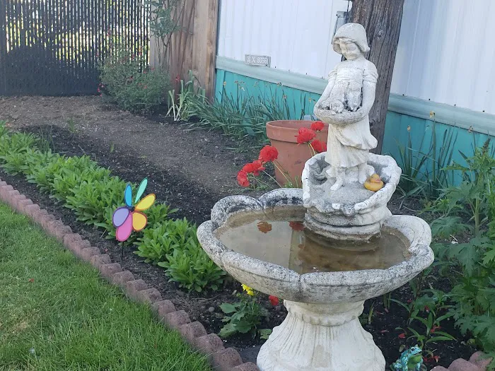 Woods Trailer-Rv Park Picture 6