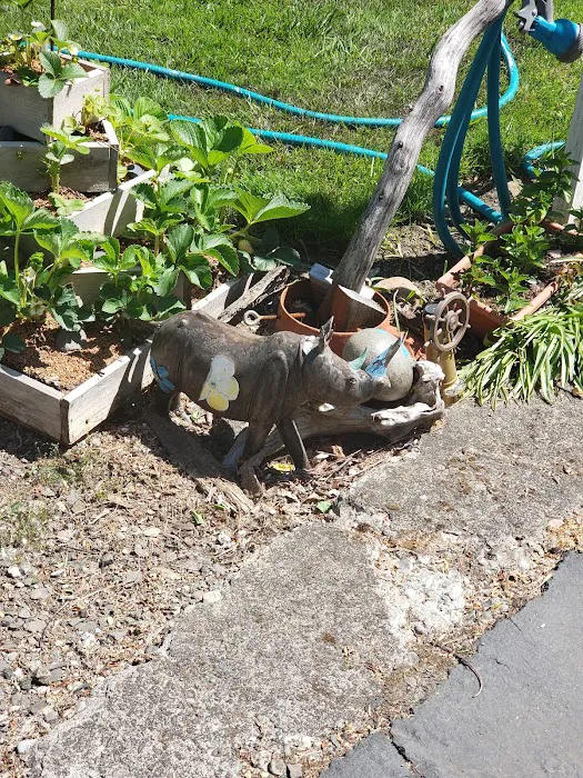 Woods Trailer-Rv Park Picture 4