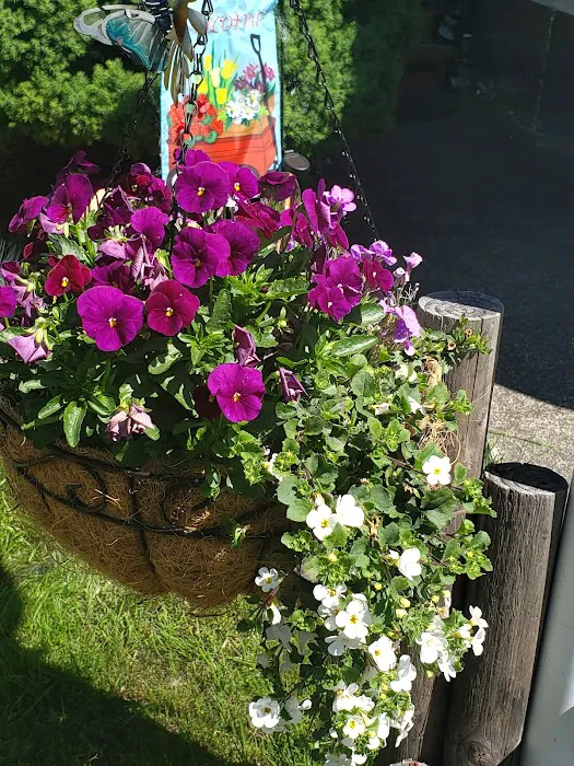 Woods Trailer-Rv Park Picture 3