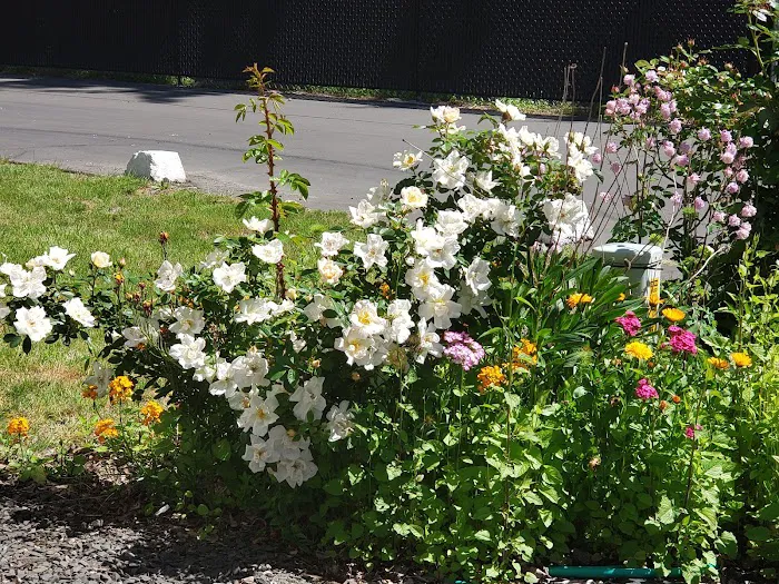 Woods Trailer-Rv Park Picture 5