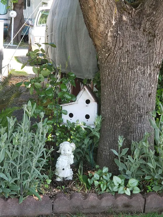 Woods Trailer-Rv Park Picture 9