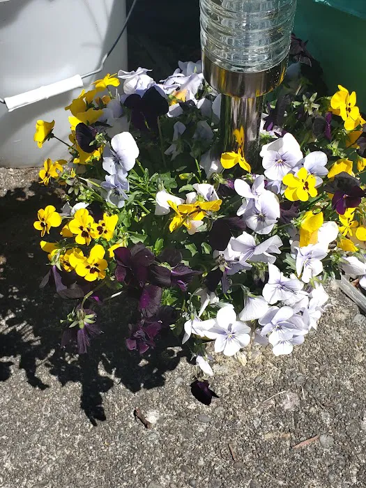 Woods Trailer-Rv Park Picture 1