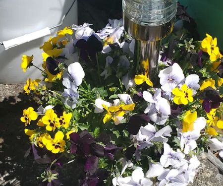 Woods Trailer-Rv Park