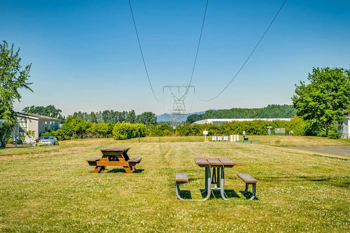 Columbus Greens Picture 5