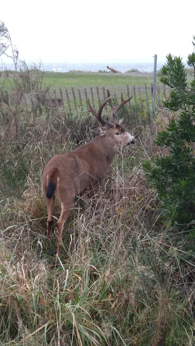 JB's RV Park & Campground Picture 3