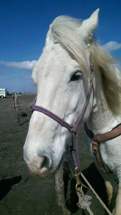 JB's RV Park & Campground Picture 7