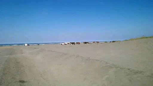 JB's RV Park & Campground Picture 4