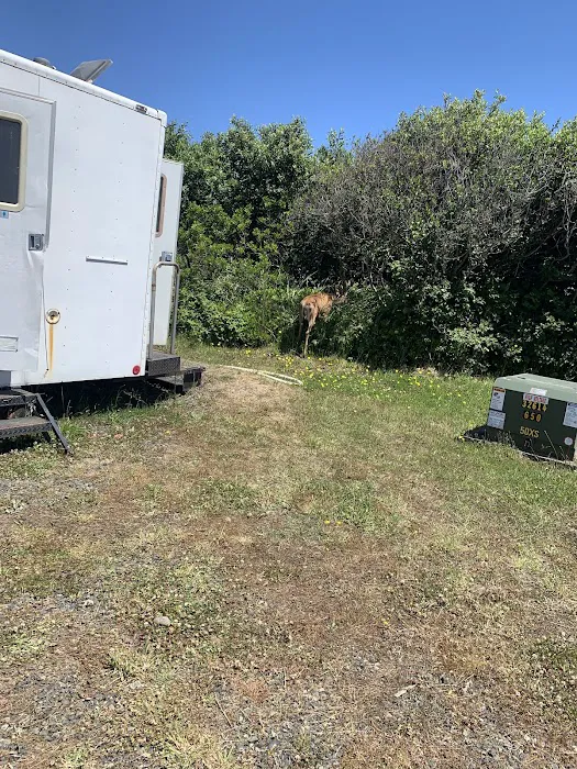 JB's RV Park & Campground Picture 2