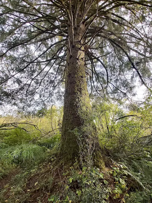 Hoquiam River RV Park Picture 7