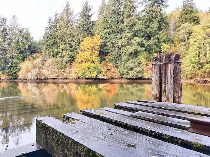 Hoquiam River RV Park Picture 9