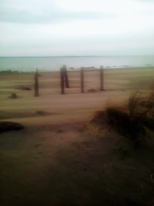 Western Horizon Ocean Shores Picture 1