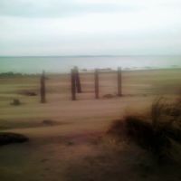 Western Horizon Ocean Shores ico