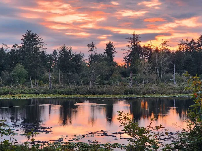 KM Resorts - Ocean Breeze RV Resort Picture 8